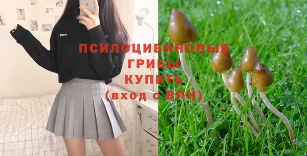 mix Армянск